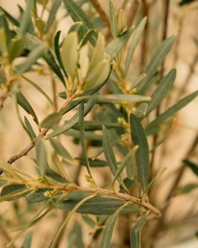 Klinci Village Resort