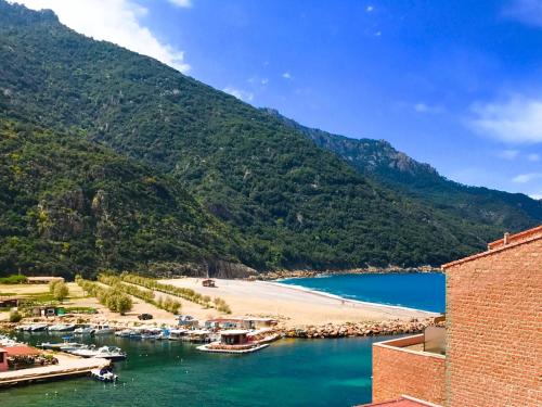 Appartements Les résidences du port La Siesta