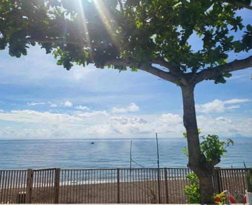 Royal Seascape 1 Beachfront