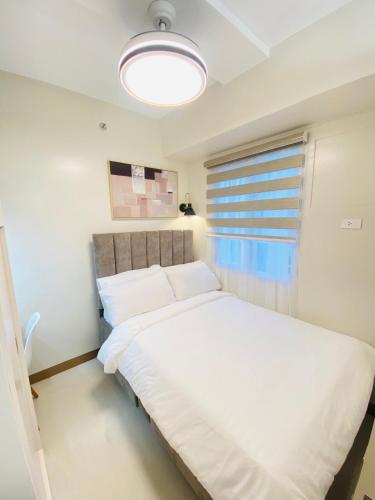 SM 12 Deluxe for Groups