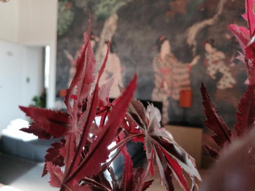 Le Boutique Luxury Resort