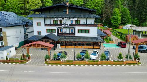 Cabana Sura Getilor Arinis