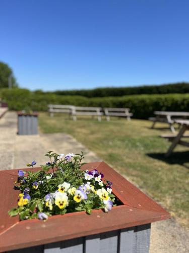 The Parson Woodforde