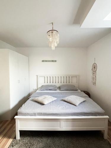 Lovely basement rental