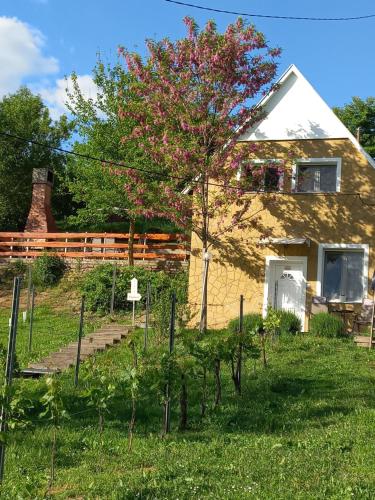 Vineyard Cottage