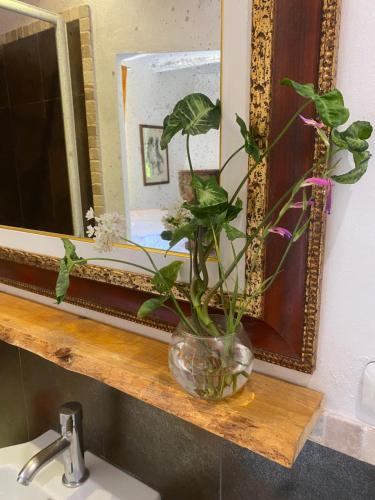 Agriturismo Nibbiano