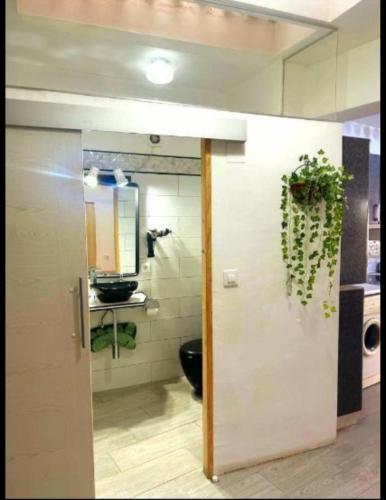 Loft CENTRO Con Parking privado GRATIS