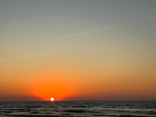 The Cozy Glass House by the Sea