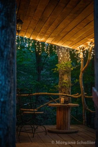 La cabane aux écureuils