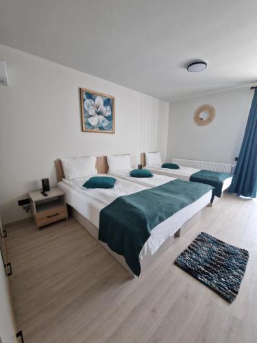 Sunny Family Vila Constanta