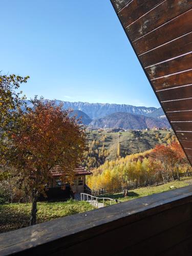 Alpine Escape Studios