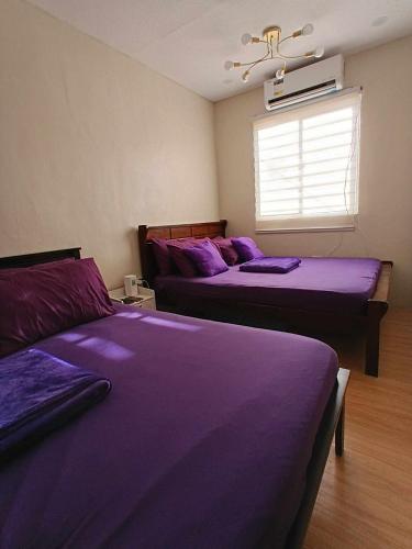 Le Château de Zambales