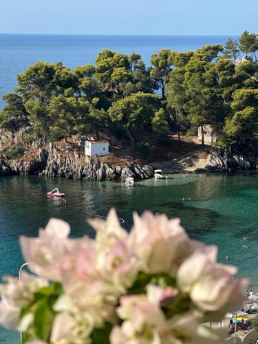 Sea Bliss Adults Only