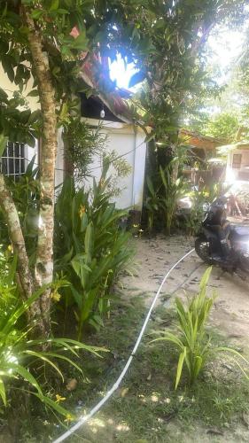 Big Papa Surf Siargao