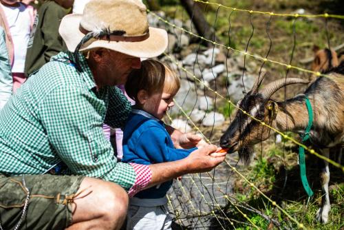Turistična kmetija Grabnar