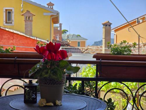 Apartments & Rooms Chiara