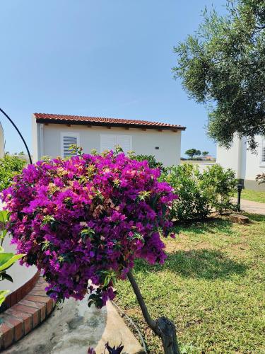 Sweet Sicily Apartments