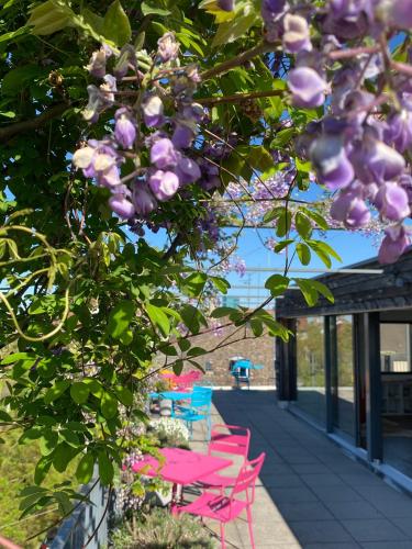 Josephine's Guesthouse for Women