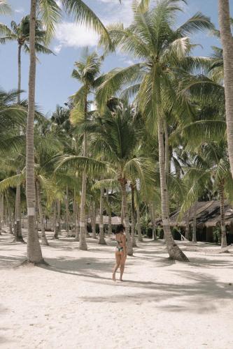 Private home in Panglao near white beaches with 600 Mbps WiFi & Solar