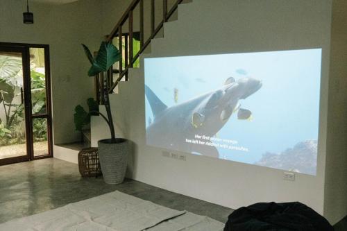 Private home in Panglao near white beaches with 600 Mbps WiFi & Solar