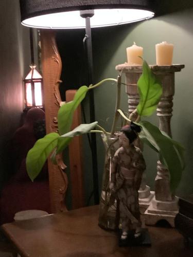 Secluded Couples Getaway Eco Mountain Romance