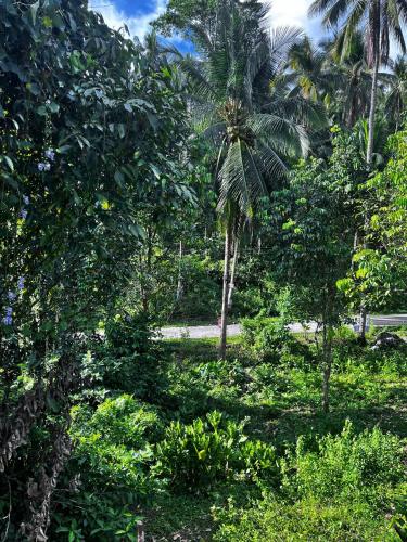 Secluded Couples Getaway Eco Mountain Romance