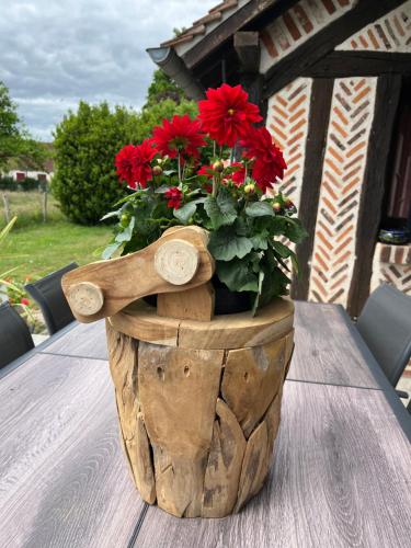 Oh Fleurs Des Champs