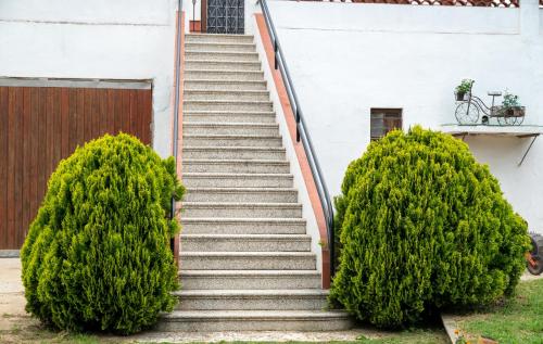 TURISME RURAL HORTA del PI