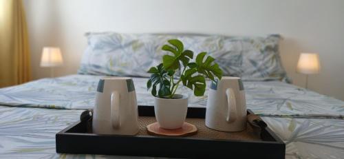 Mike's Place at Marina Spatial