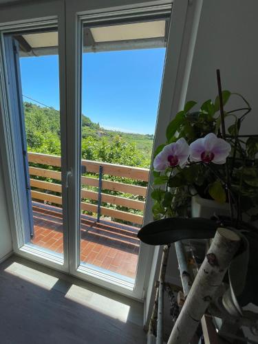 Apartma Salvia-Guest House, Portorož