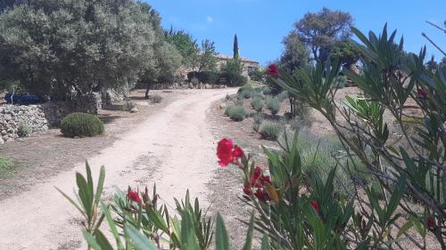 holiday home su Niberalzu