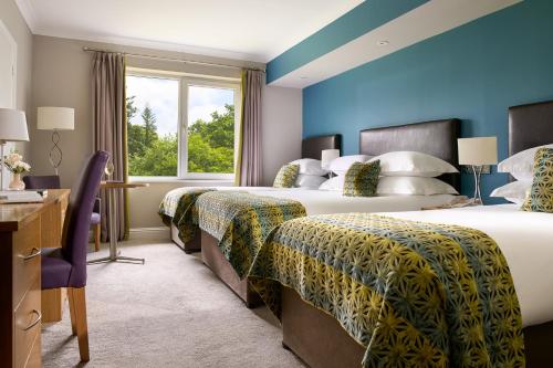 The Rine Hotel