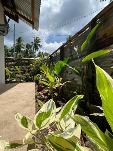 Tingala House in North Siargao