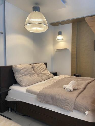 Studio Apartment Altstadt