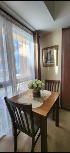 The Venice Luxury Residences Condominium 28B Bellini, McKinley Hill, Taguig City, Philippines
