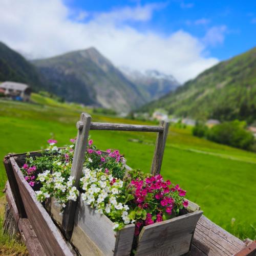 Alpengarten