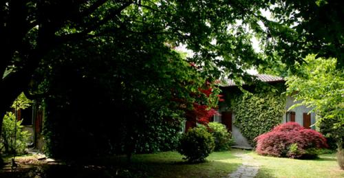 B&B L'albero Maestro