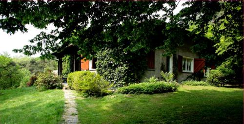 B&B L'albero Maestro
