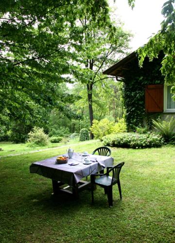 B&B L'albero Maestro