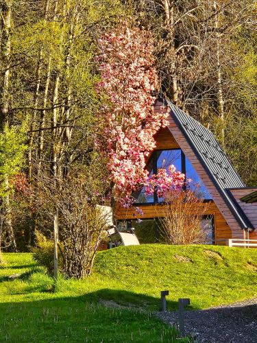 Mountains & Lakes - Chaletdorf & Appartements