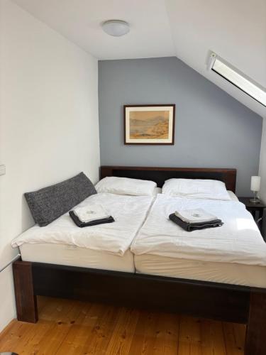 Restaurant Svejk A Pension Brno