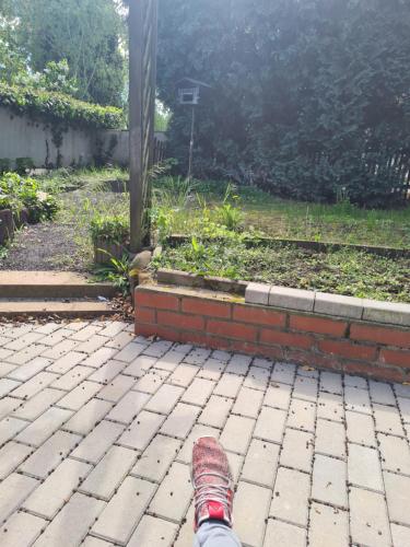 Apartment Ferienwohnung Monteurwohnung Ecke