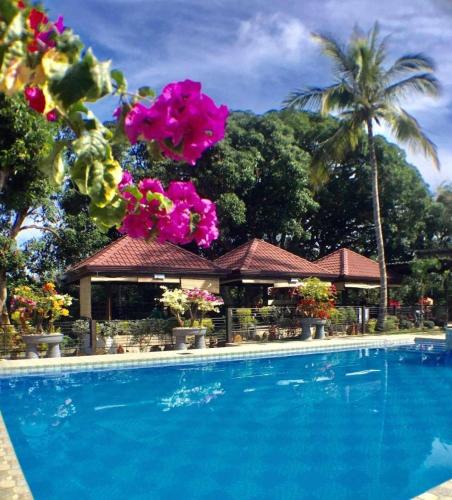 Balay Marino