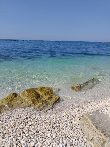 Art Village Residence