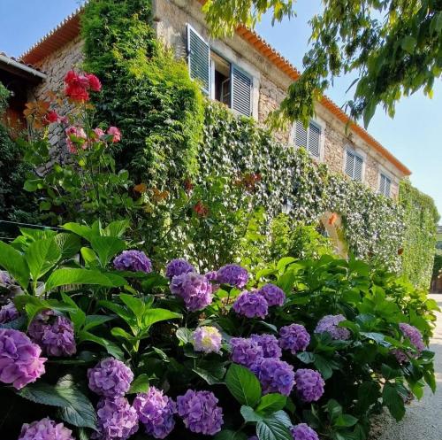 Casa de Sao Miguel Douro