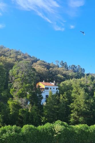 Inn Albergaria Bica Boa