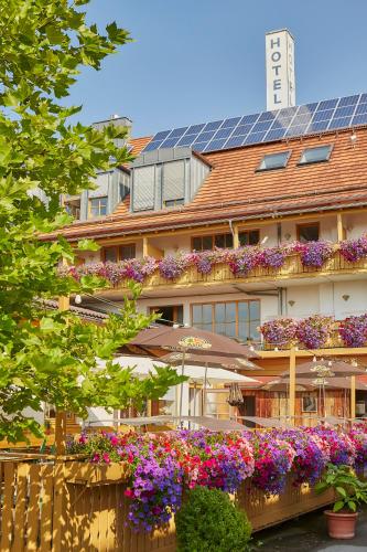 Flair Hotel Am Kamin