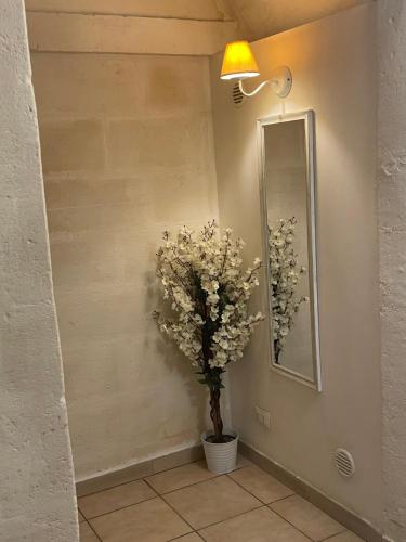 Antica Mateola Rooms&Suites