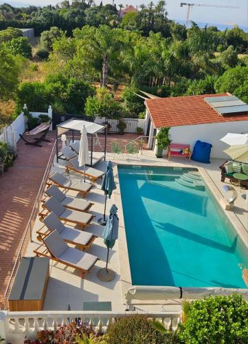 Palm View Guesthouse