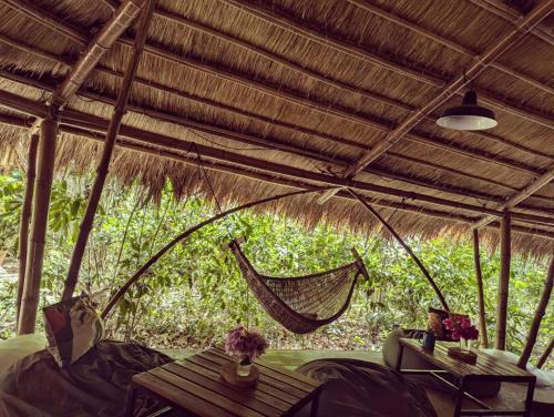 Ecocio Jungle Hostel